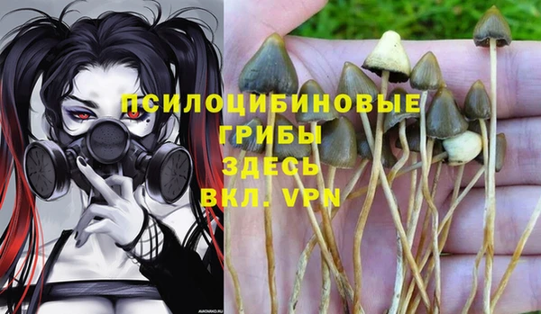 индика Пересвет