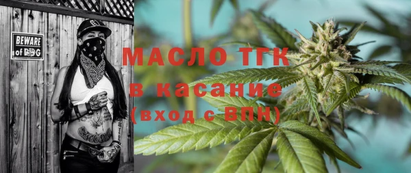 индика Пересвет