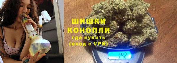 индика Пересвет