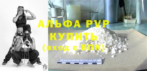 индика Пересвет