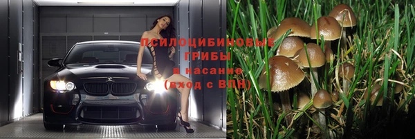 мяу мяу кристалл Переславль-Залесский