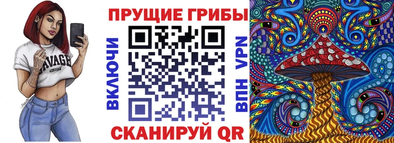 Галлюциногенные грибы мицелий  что такое   Харабали 